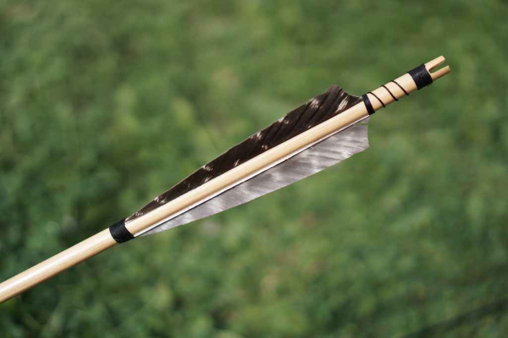 The Arrow Ricochets and Strikes the Archer